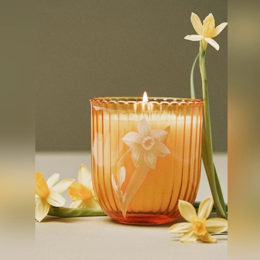 Anthropologie March Daffodil Candle - Picture 1 of 3